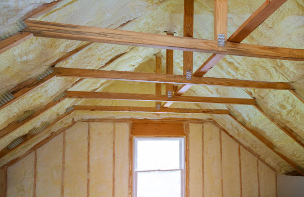 Best Blown-in Insulation  in Lodi, NJ