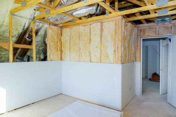 Best Insulation Replacement Services  in Lodi, NJ