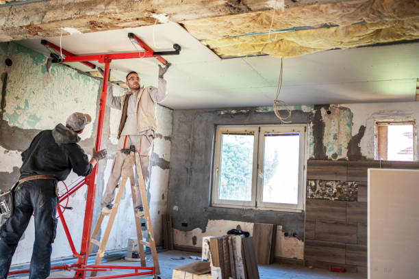 Best Wall Insulation Contractor  in Lodi, NJ
