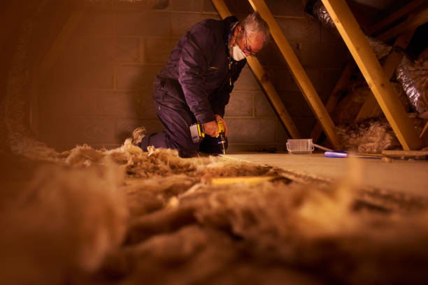 Insulation Repair Services in Lodi, NJ